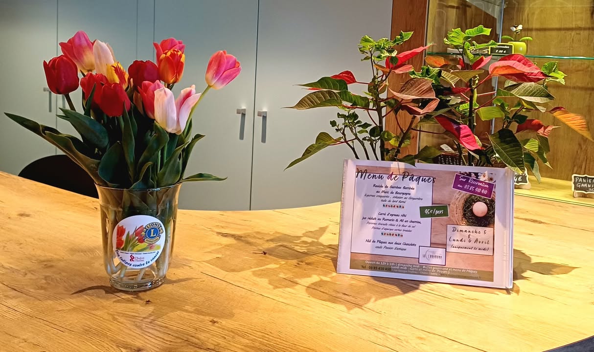 image actualités Ibis Chalon